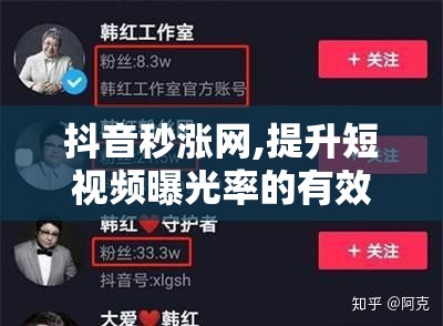 抖音秒涨网,提升短视频曝光率的有效方法与技巧